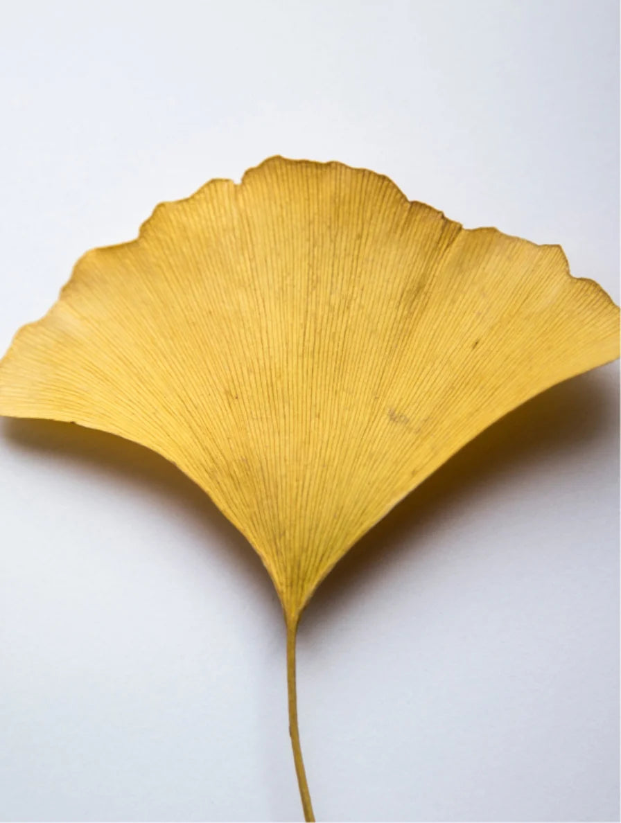 Ginkgo Firming Gel for Sensitive Skin